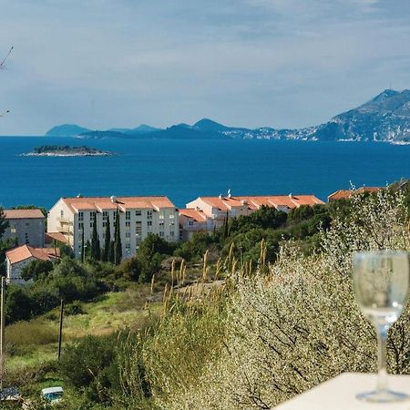Nice Apartment In Cavtat With Wifi エクステリア 写真
