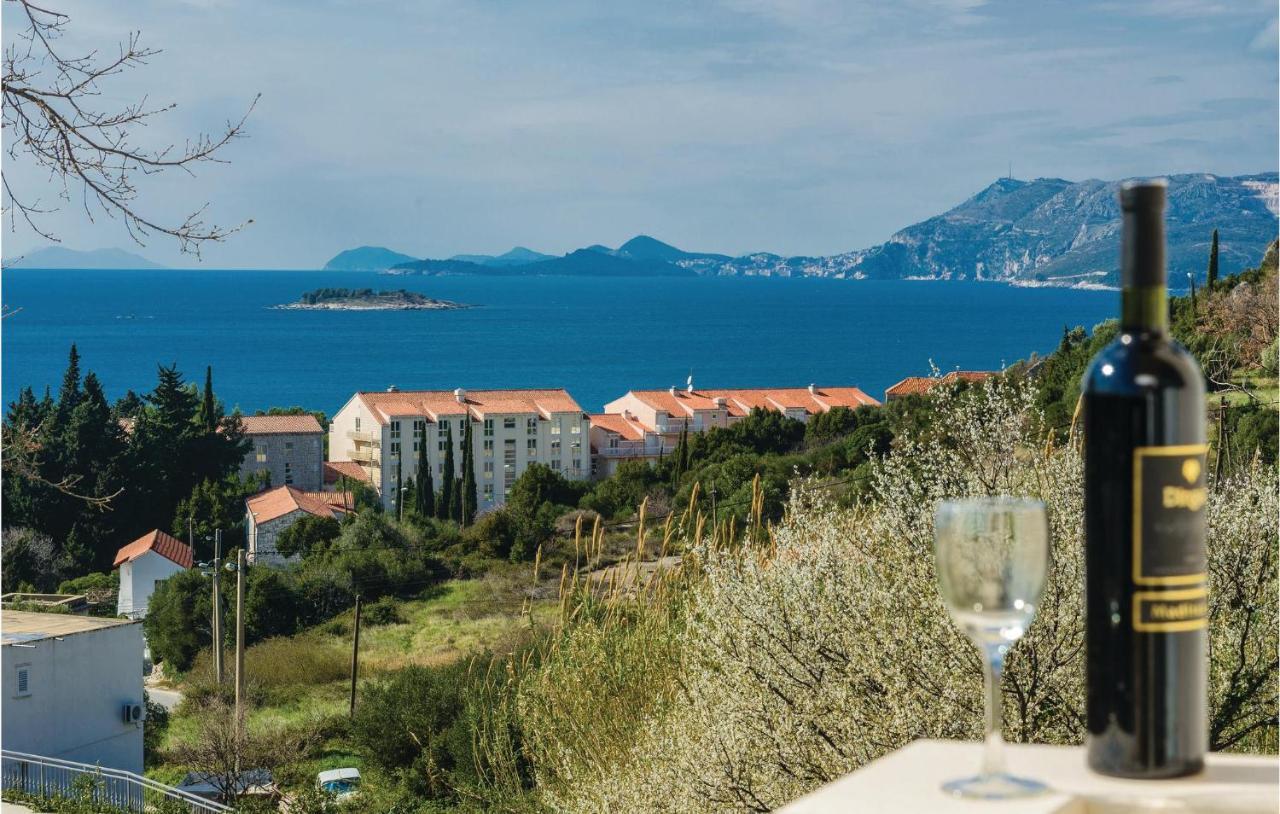 Nice Apartment In Cavtat With Wifi エクステリア 写真